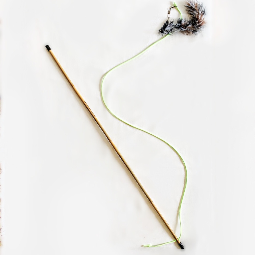 New! Cat Fishing Pole - Strong, Carpenter Made